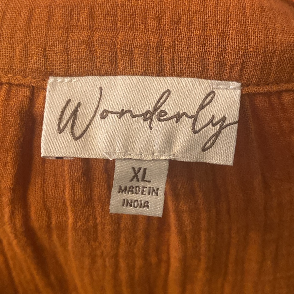 WONDERLY Rust V-Neck Blouse - Picture 12 of 12